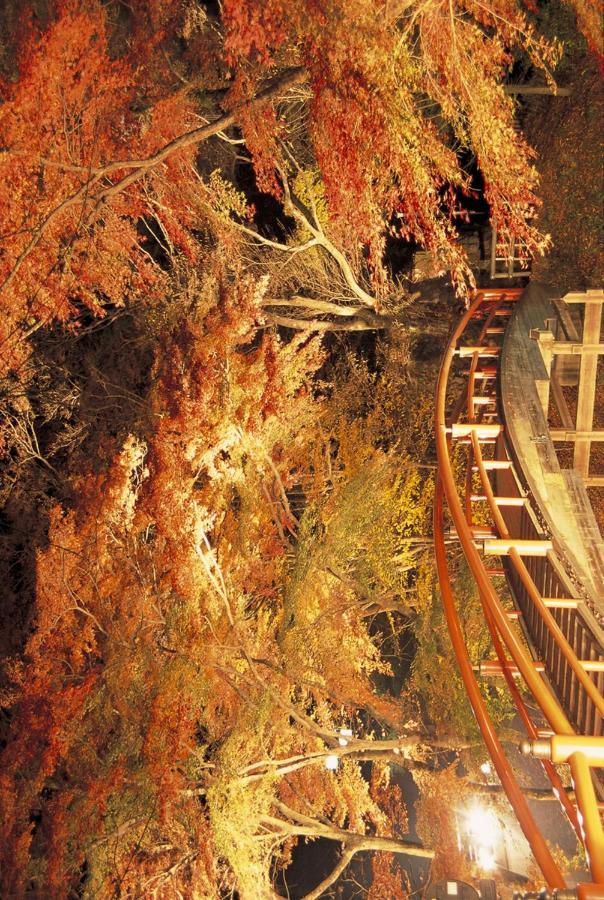 อิกะโฮะ ออนเซน ชิงกิ Hotel Shibukawa ภายนอก รูปภาพ